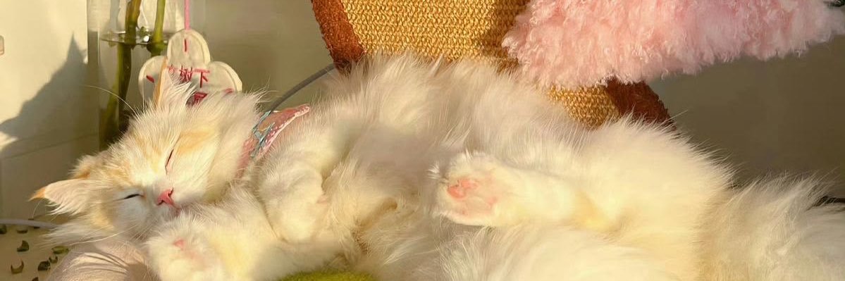 letícia maria banner