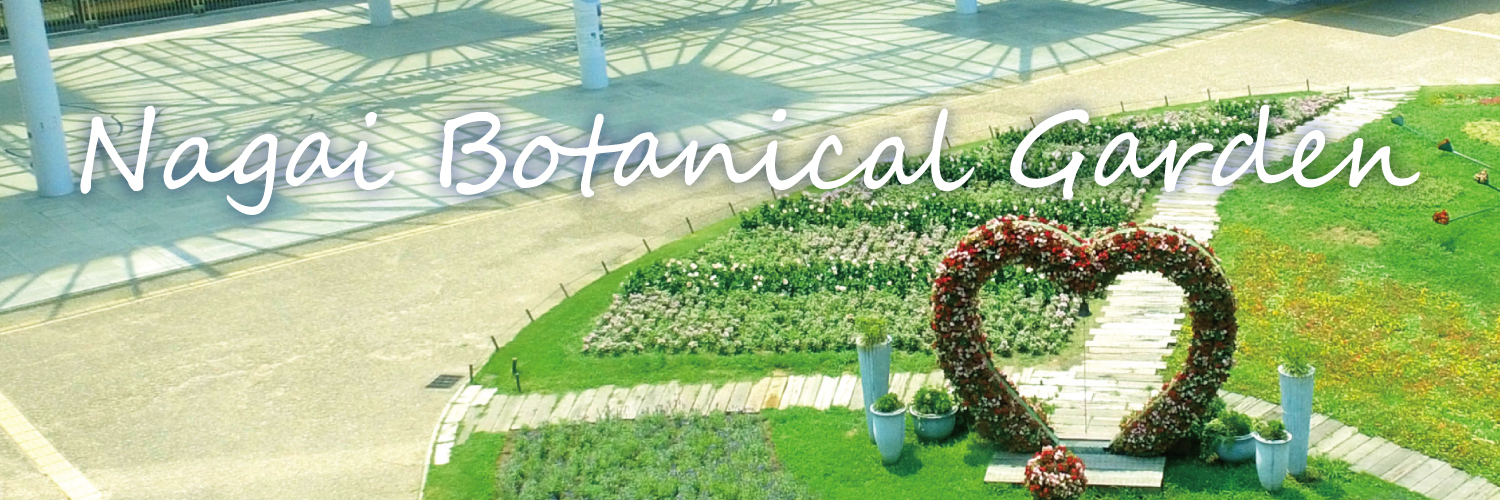 長居植物園 banner