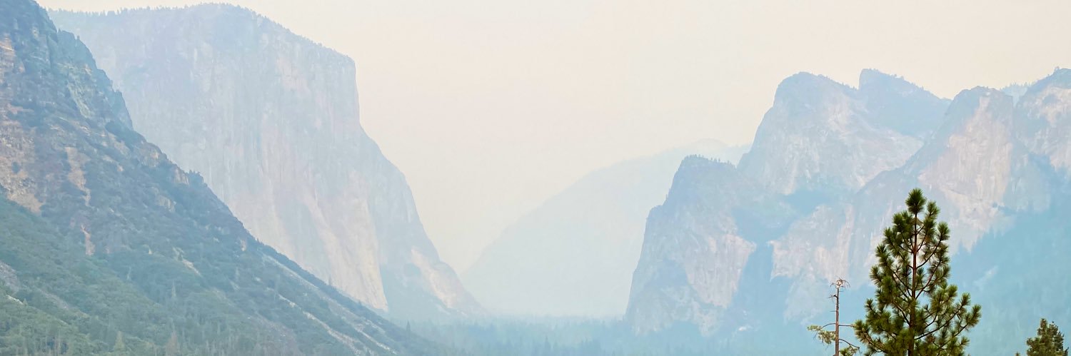 onearmadillo's profile banner image