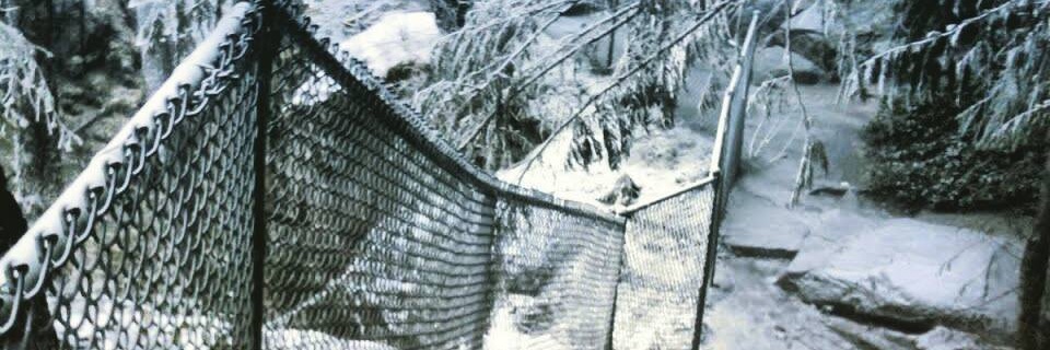 Joshua Nilles banner