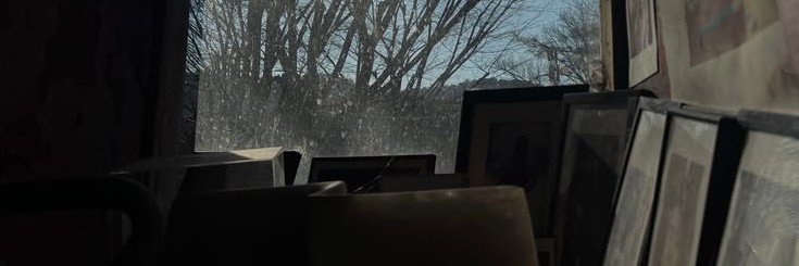 vousleoo's profile banner image