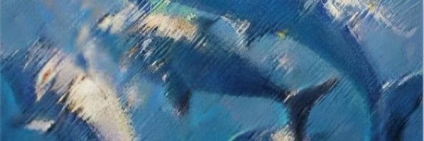 shxayaa Profile Banner