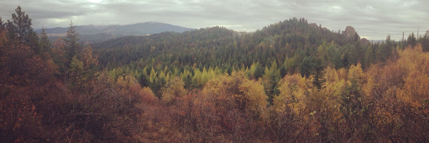 EricHultz's profile banner image