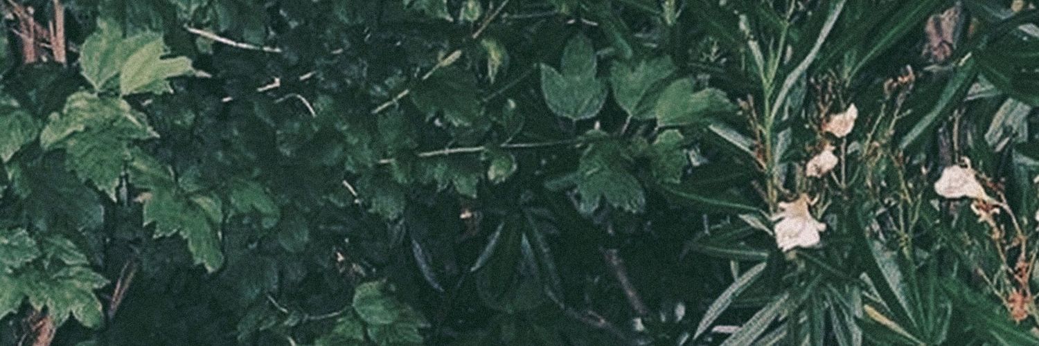 saramelasa's profile banner image