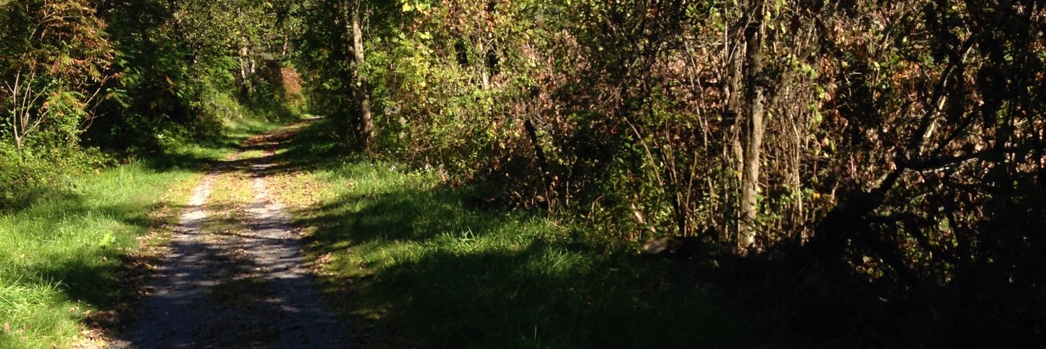 Pstthomas's profile banner image