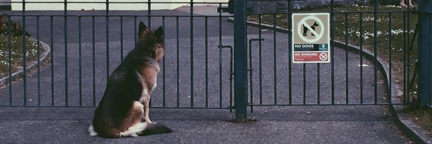 🎃 Carly Squires 🎃 (she/her) banner