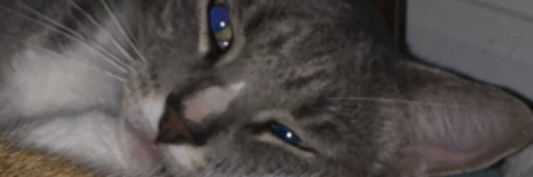 _splitcircle_'s profile banner image