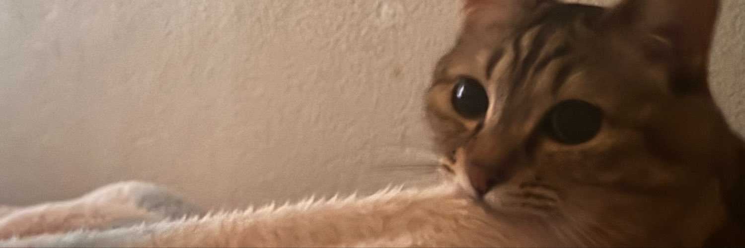 Cat_ca46's profile banner image