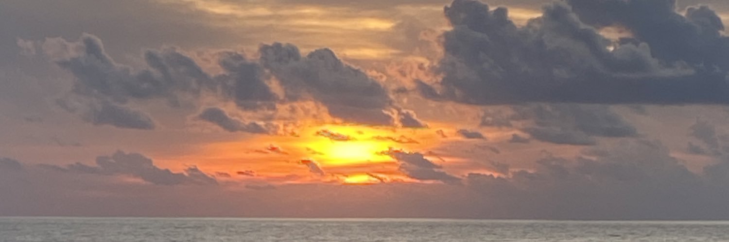 nuSean1's profile banner image