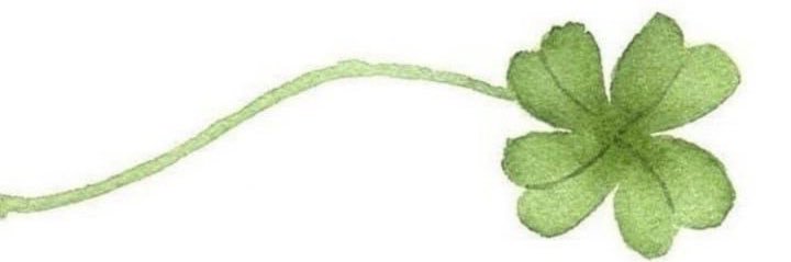 : ‎ ‎ ‎ ‎ ‎ Rosehearts ‎ ‎ ‎ ‎ ᥫ᭡ banner