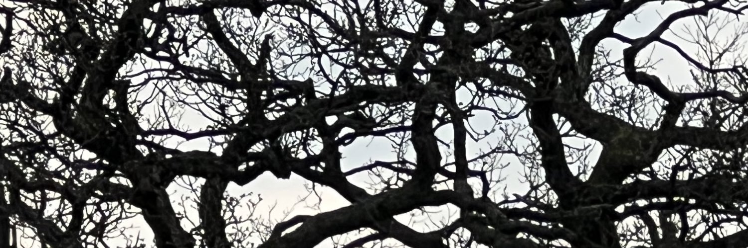 magalex's profile banner image