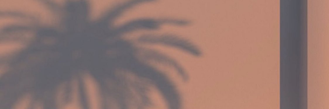 SarahECoffey's profile banner image