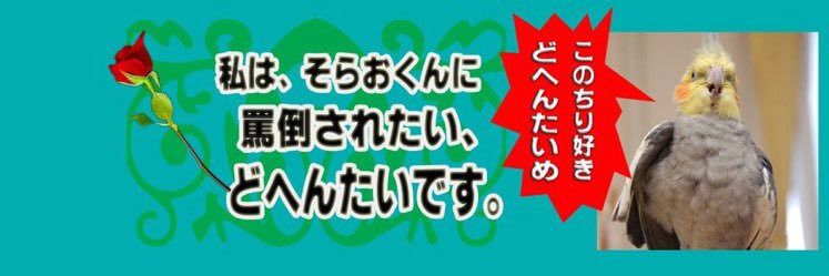 aloha_koukun's profile banner image