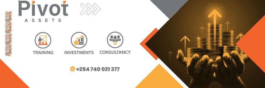 Pivot Assets banner