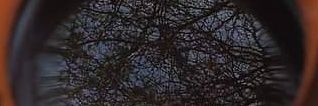 adreelee's profile banner image