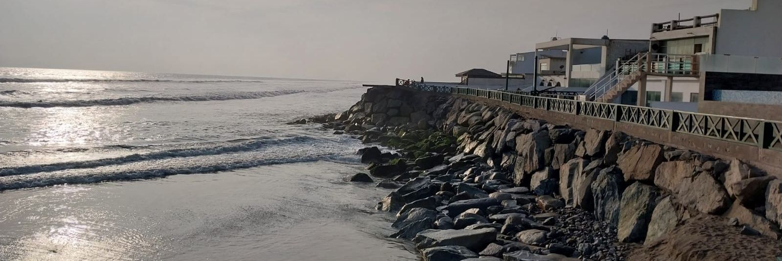 pedrosport1's profile banner image