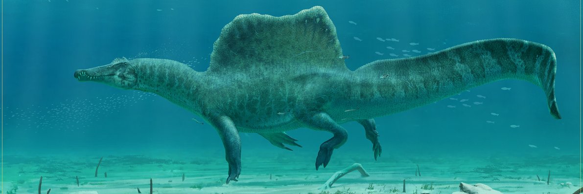 PaleoNerd 🦖 banner