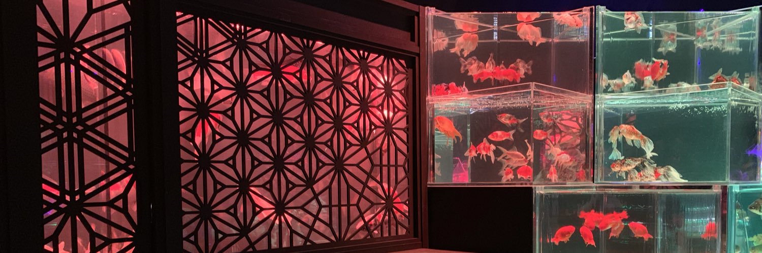 kuyu113's profile banner image