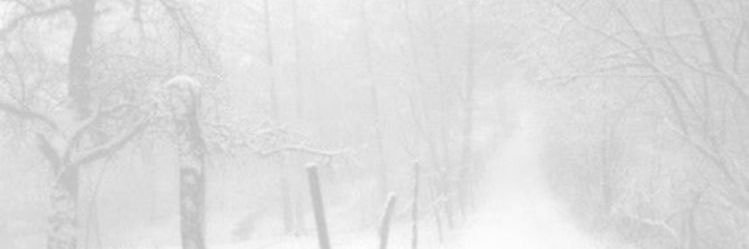 unicorngio67's profile banner image