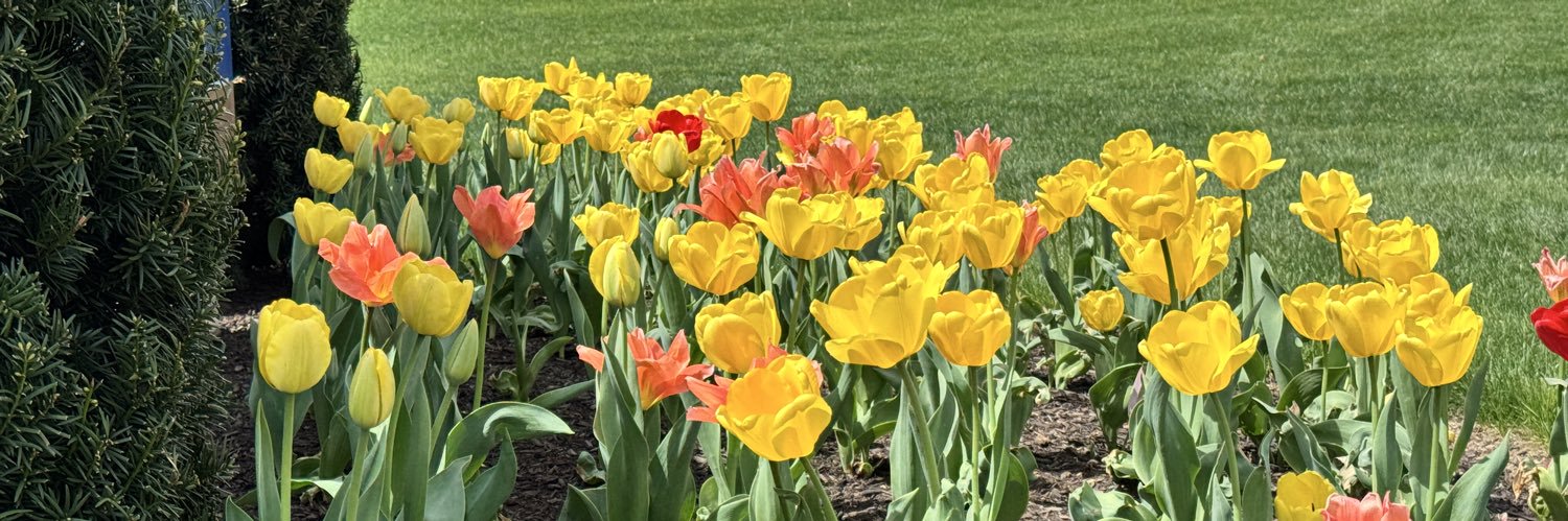 Clark Venable banner