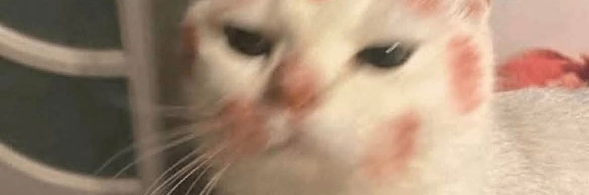 Chan Sovanlyly banner