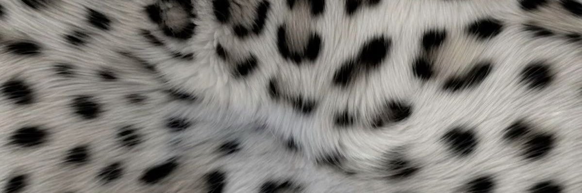 lellaposts's profile banner image