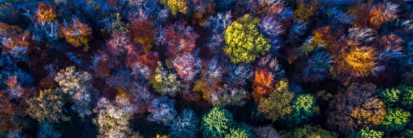 Nicholas E Jones banner