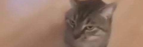 Ahora_funada's profile banner image
