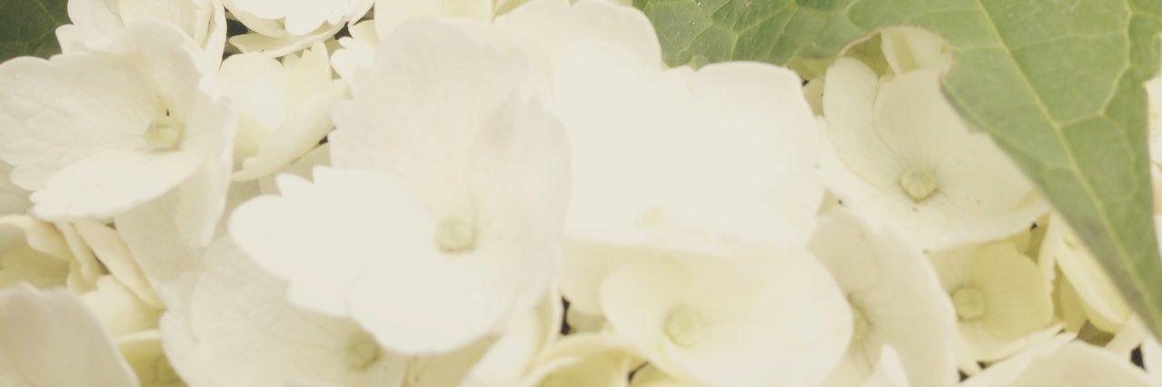 折原くるみ banner