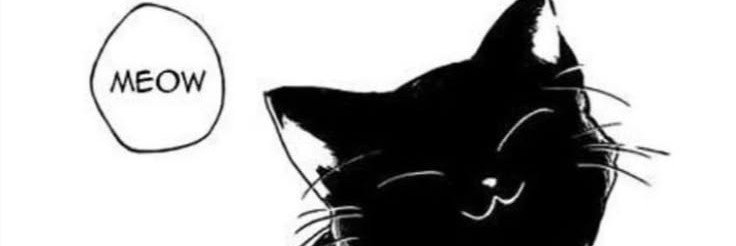 Pin0w0's profile banner image