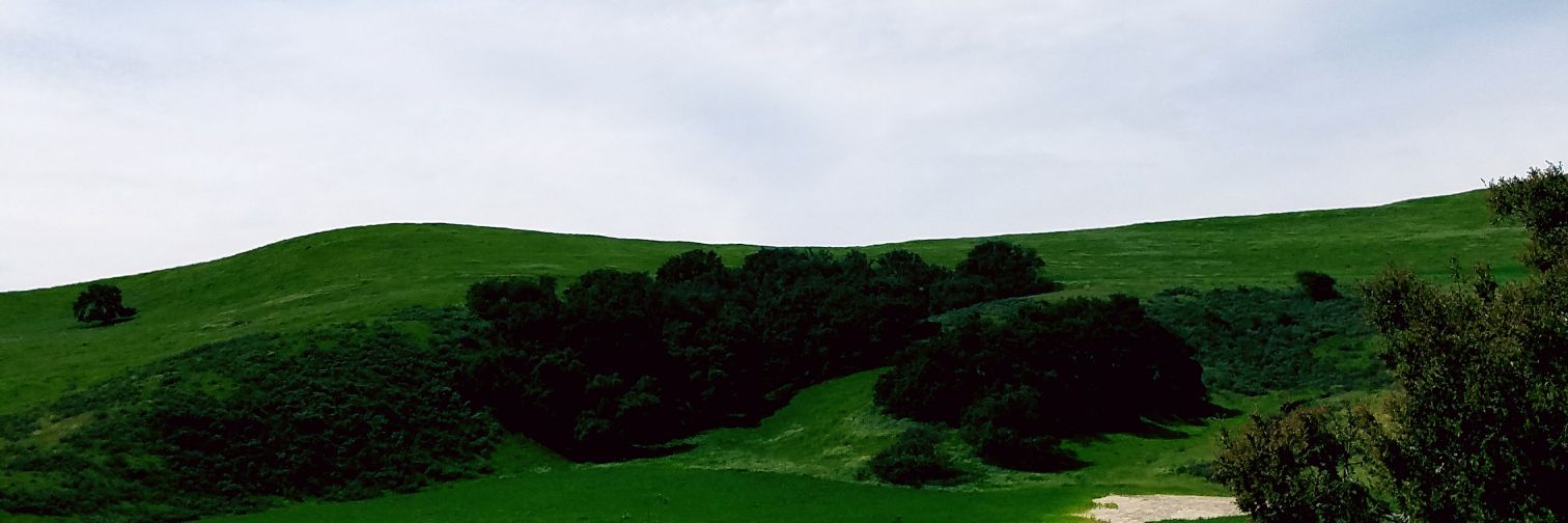 ChrisFraijo's profile banner image