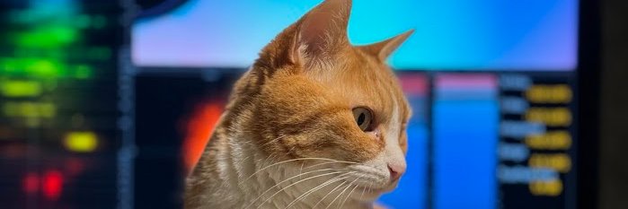 skmmtt's profile banner image
