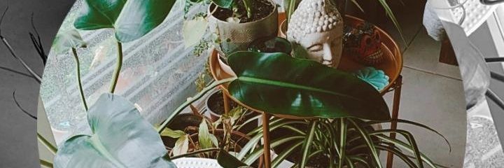 BarbaraPicaza's profile banner image