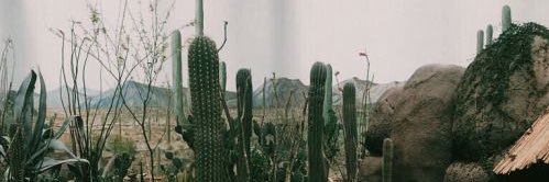 makeitnancy20's profile banner image
