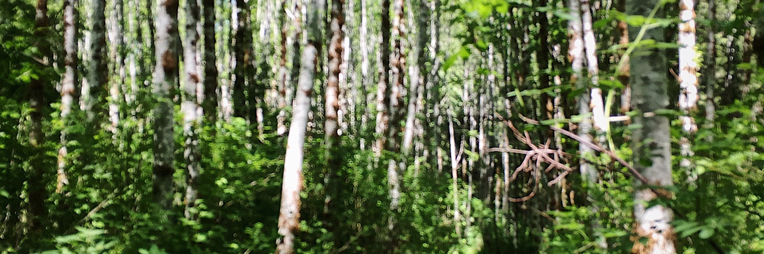 Megan Cole banner