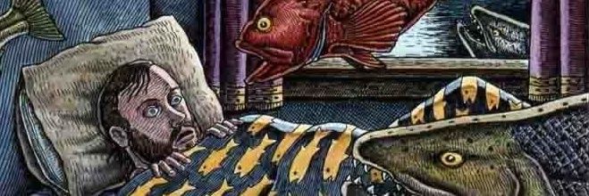 Nautilus_exist's profile banner image