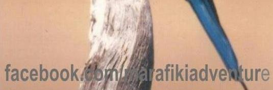 Marafikis's profile banner image
