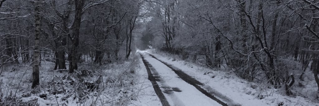 eilidhsdad's profile banner image
