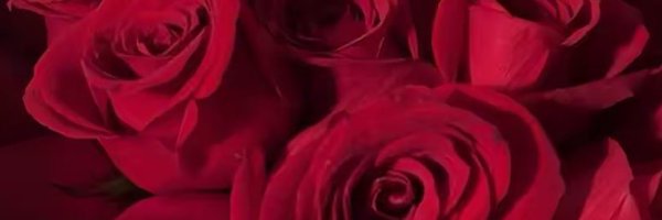 Paradyn__ Profile Banner