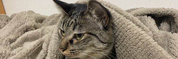 htpm880 Profile Banner