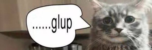 hamelnlover Profile Banner