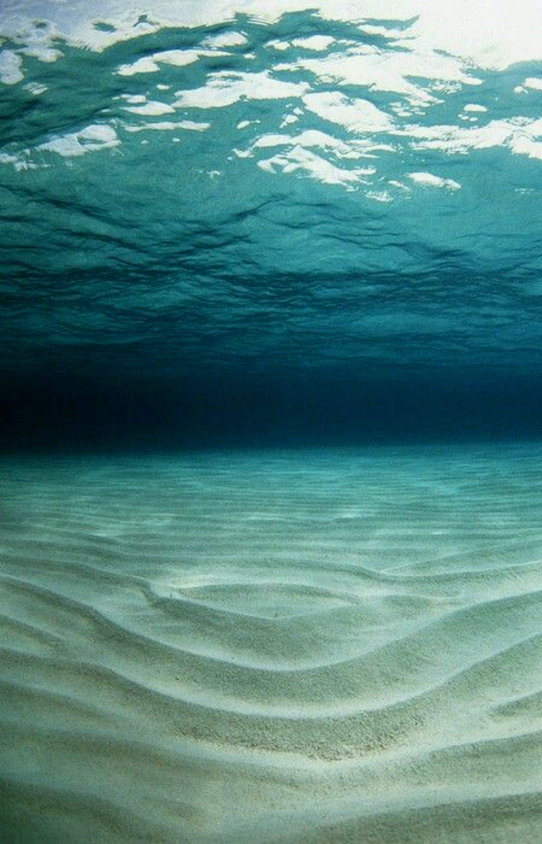 Kym Edwardes-Evans banner