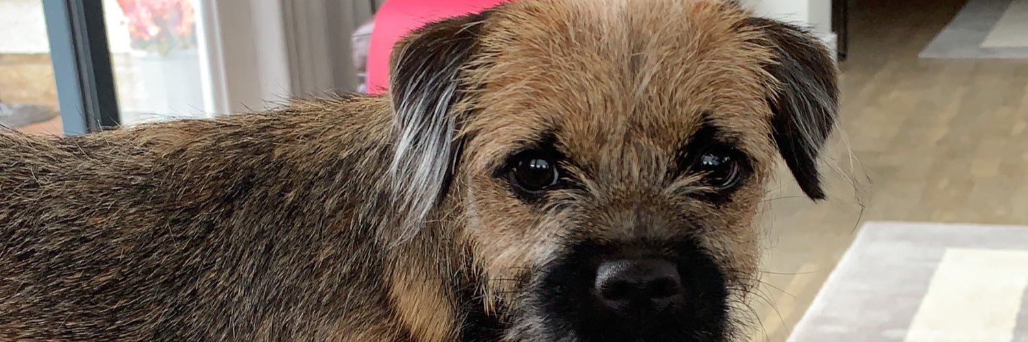 AGirlNamedSue banner