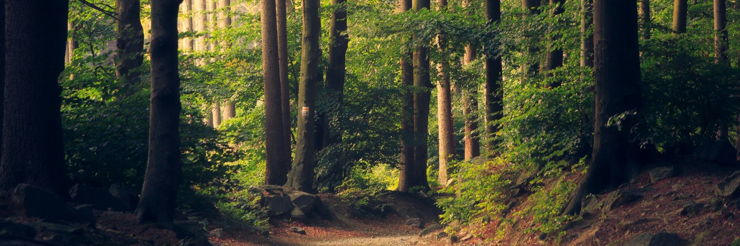 chrislointain banner