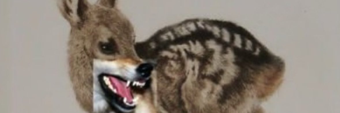 a͓̽yşekil şukul banner
