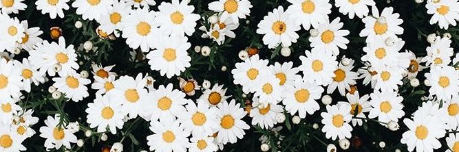 firdarahmaaa's profile banner image