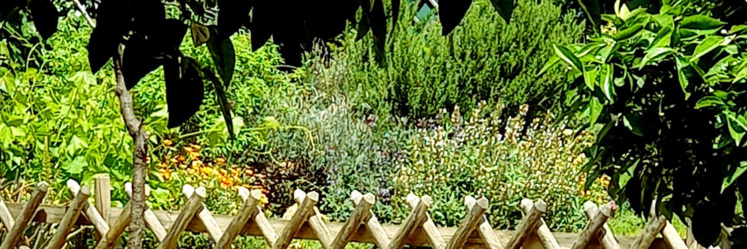 Phebe00's profile banner image