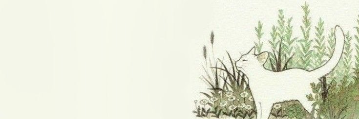 ⋆˚꩜｡lils ⋆˚꩜｡-6,3kg/36kg banner