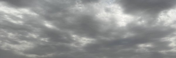 sicklecellvamp Profile Banner