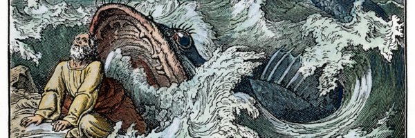 lancelands Profile Banner